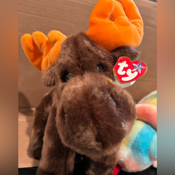 Chocolate & Rainbow - Picture 6 of 6